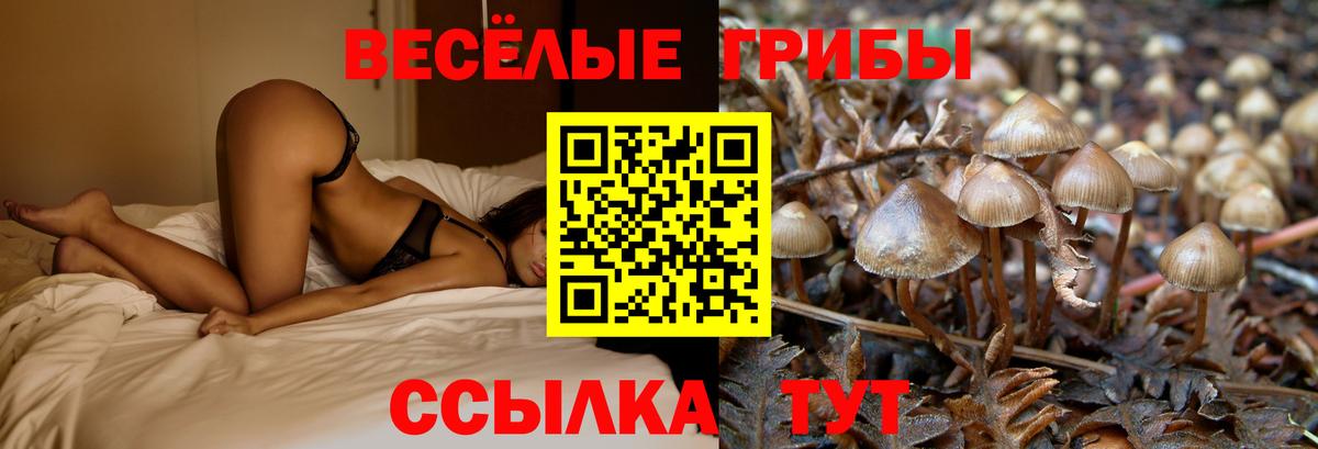 Галлюциногенные грибы мицелий Тейково